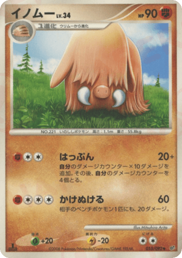Piloswine - Intense Fight in the Destroyed Sky 55