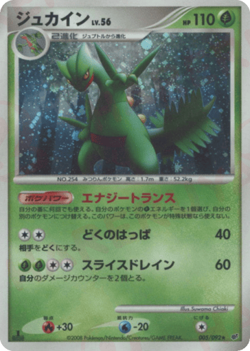 Sceptile - Intense Fight in the Destroyed Sky 5