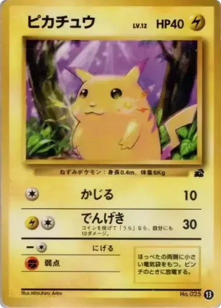 Pikachu – Intro Pack (Bulbasaur) 13 Pokémon card
