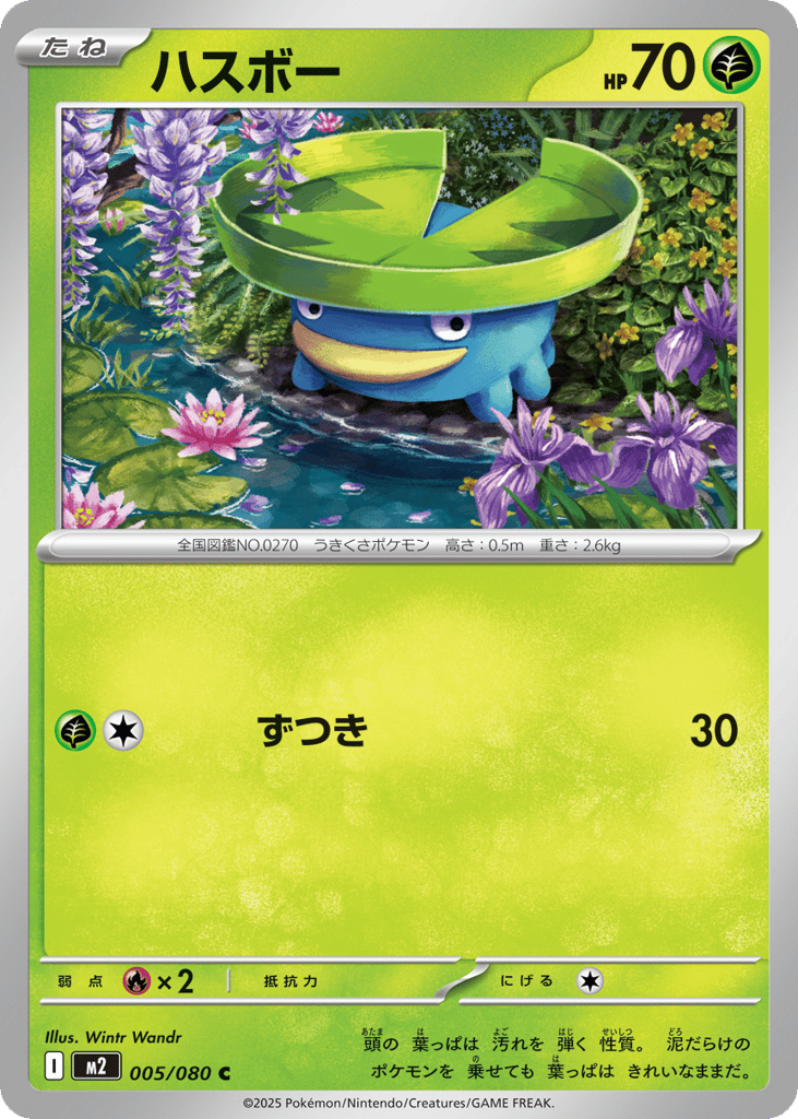 Lotad – Inferno X 005/080 Pokémon card