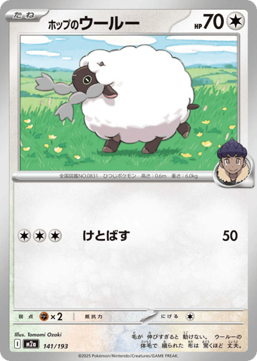 Hop's Wooloo - MEGA Dream ex 141