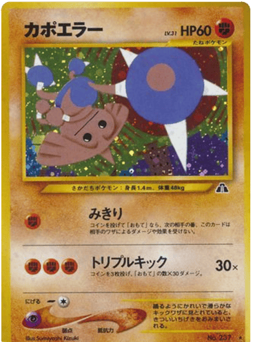 Hitmontop - Crossing the Ruins... 237