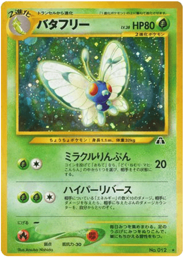 Butterfree - Crossing the Ruins... 12