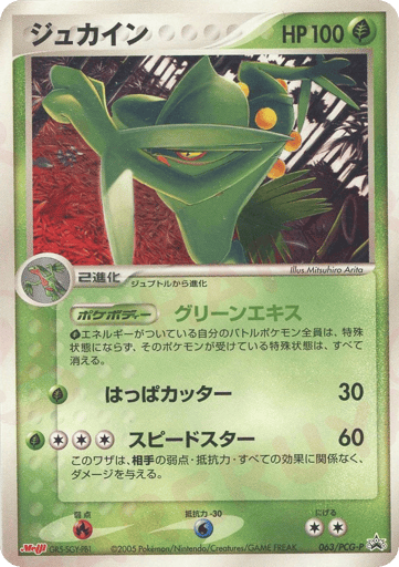 Sceptile - PCG Promos 63