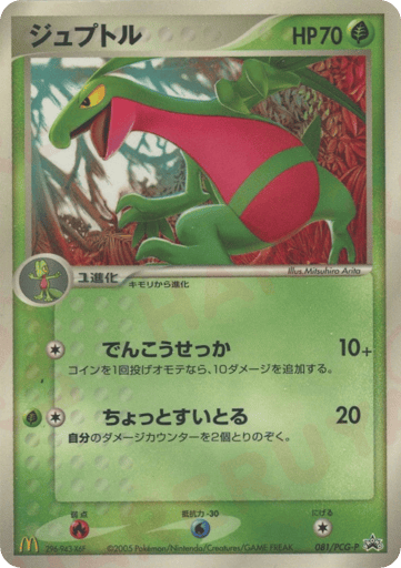 Grovyle - PCG Promos 81
