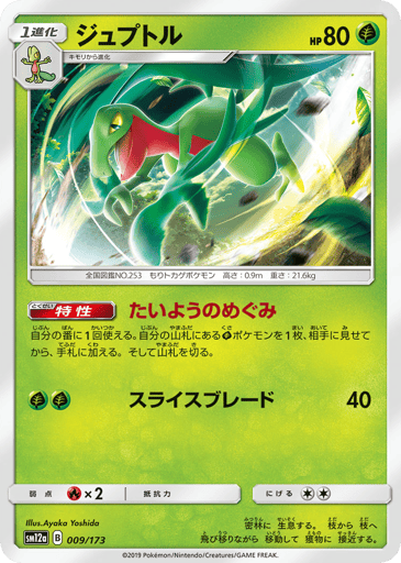 Grovyle - TAG TEAM GX: Tag All Stars 9