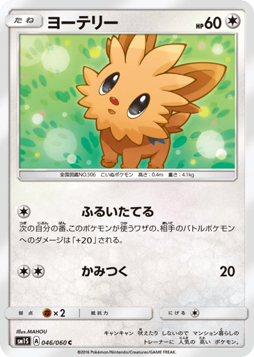 Lillipup - Collection Sun 46
