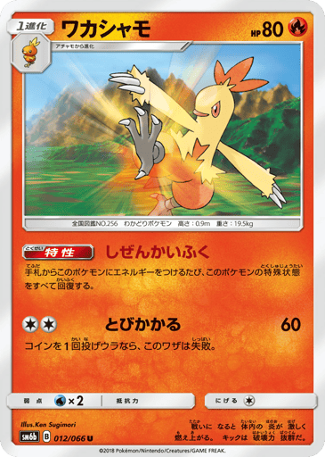 Combusken - Champion Road 12