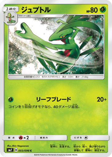 Grovyle - Sky-Splitting Charisma 3