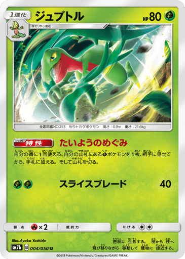 Grovyle - Fairy Rise 4