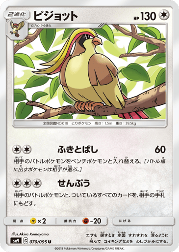 Pidgeot - Tag Bolt 70