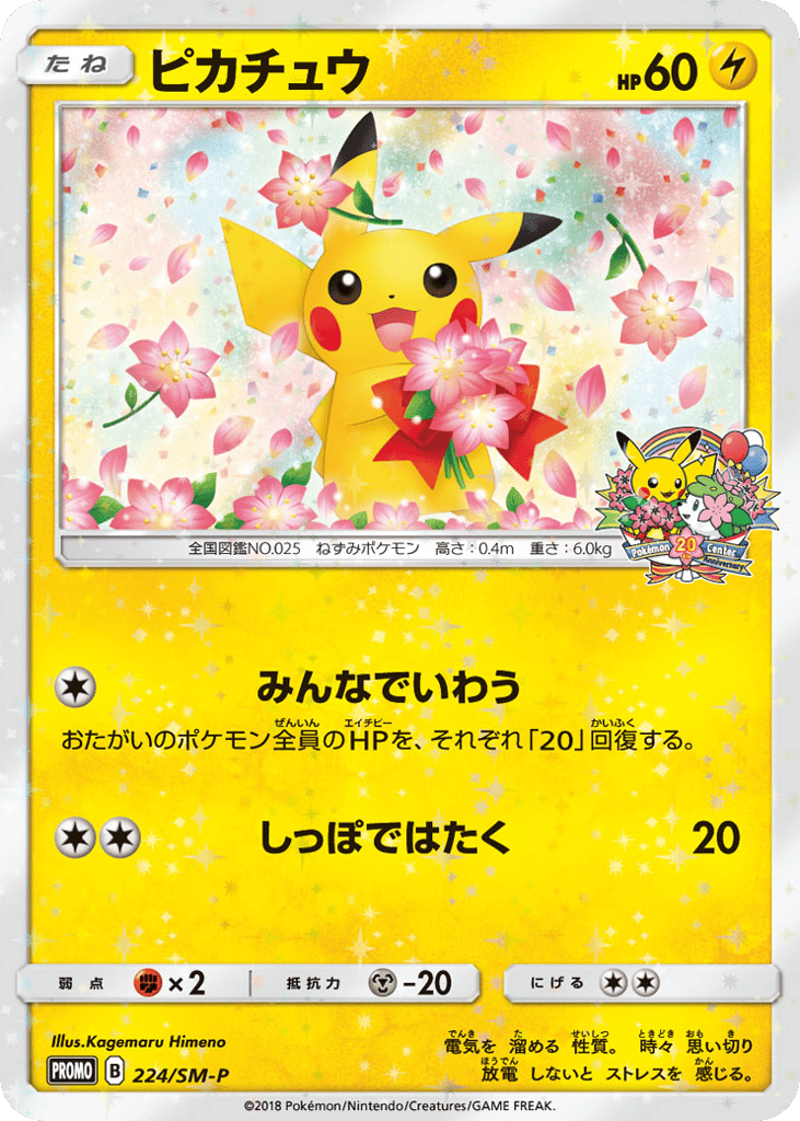 Pikachu – Sun & Moon Promos 224/SM-P Pokémon card