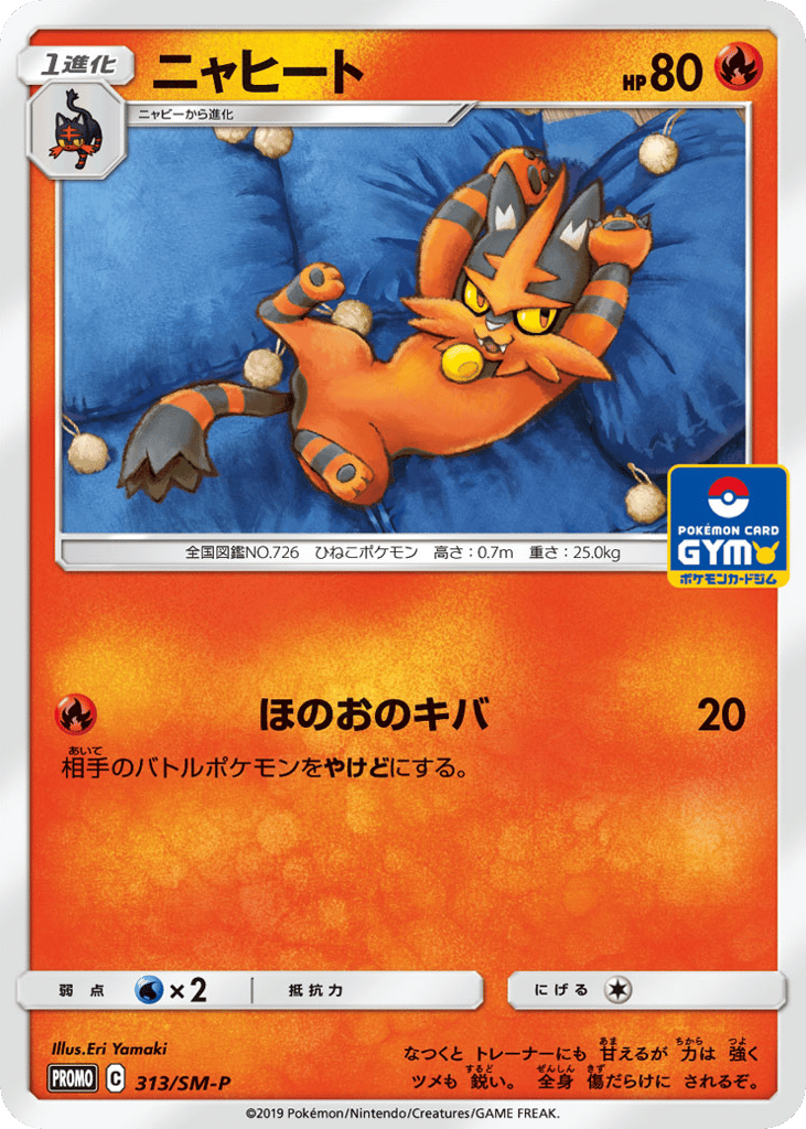 Torracat – Sun & Moon Promos 313/SM-P Pokémon card