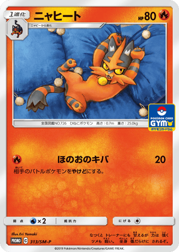 Torracat - Sun & Moon Promos 313