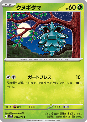 Pineco - Violet ex 1