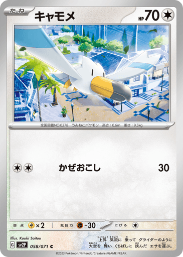 Wingull - Snow Hazard 58