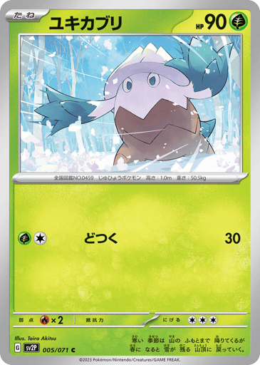Snover - Snow Hazard 5