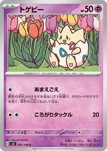 Togepi - Ruler of the Black Flame 43