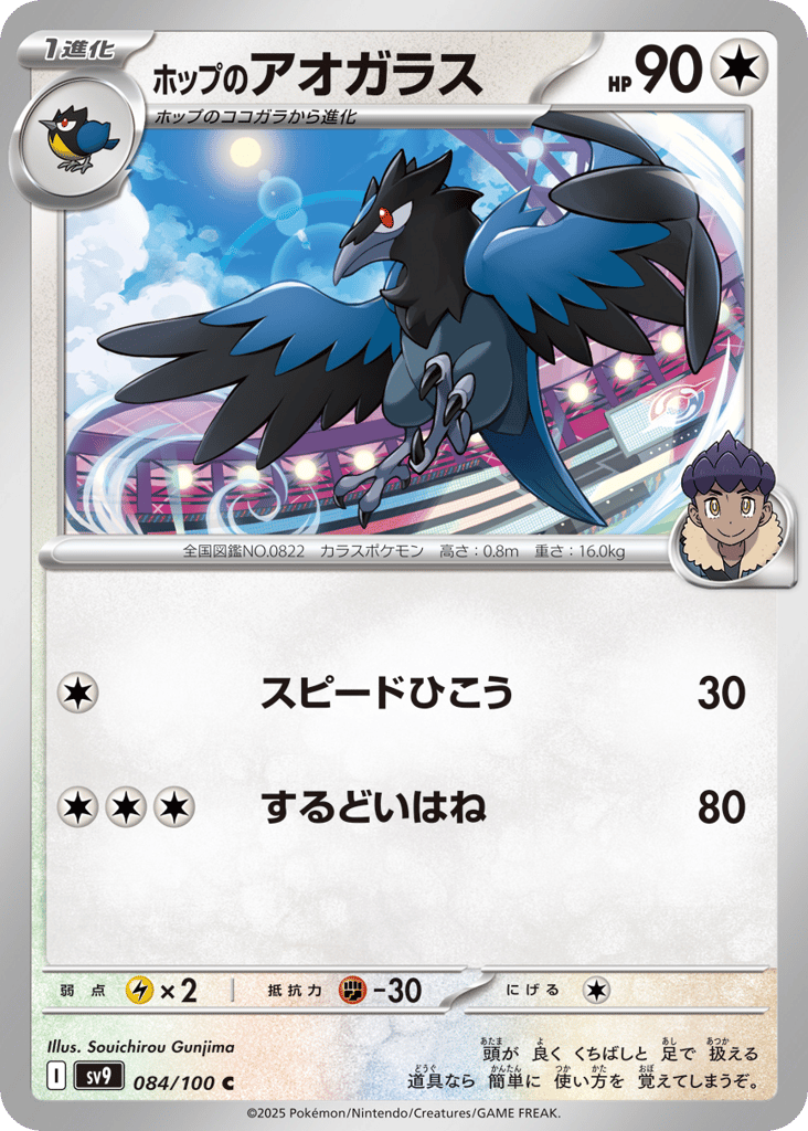 Hop's Corvisquire – Battle Partners 084/100 Pokémon card
