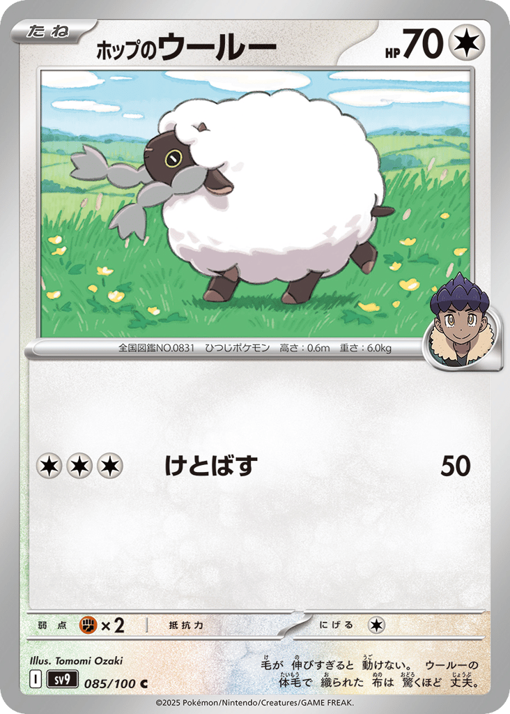 Hop's Wooloo – Battle Partners 085/100 Pokémon card