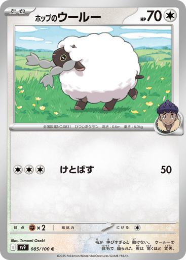Hop's Wooloo - Battle Partners 85