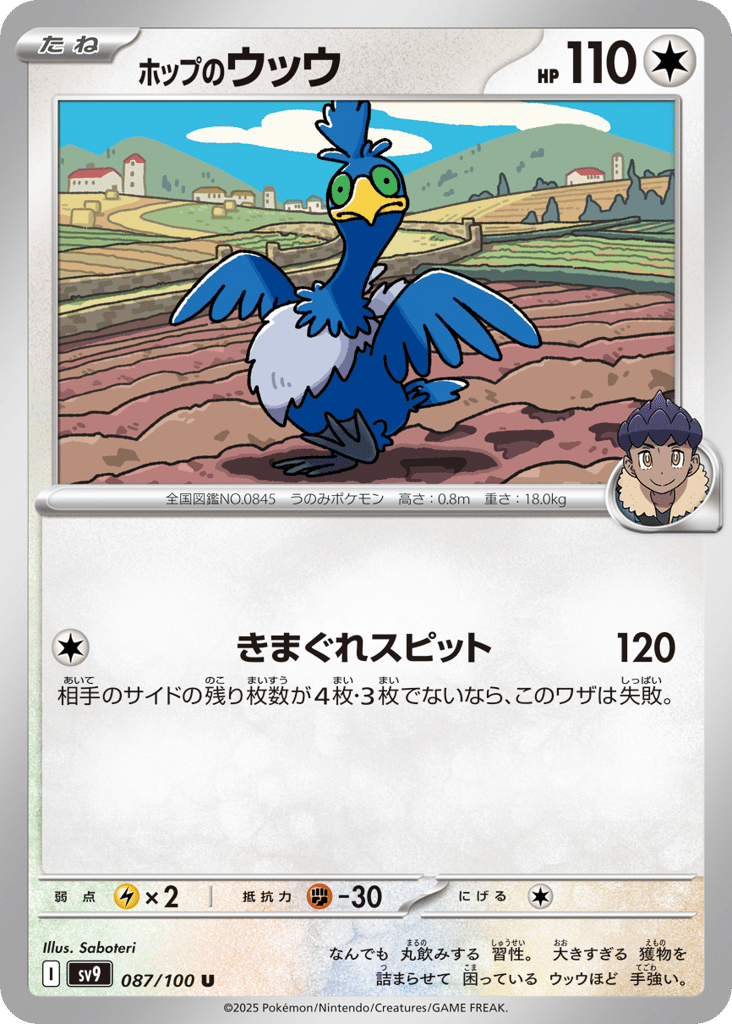 Hop's Cramorant – Battle Partners 087/100 Pokémon card