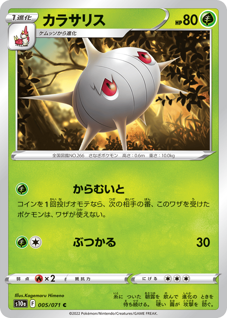 Silcoon – Dark Phantasma 005/071 Pokémon card
