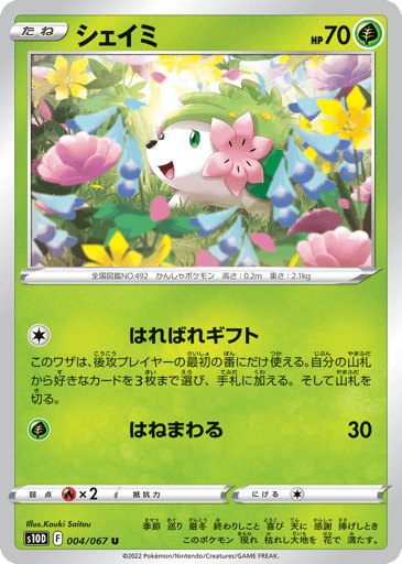 Shaymin - Time Gazer 4