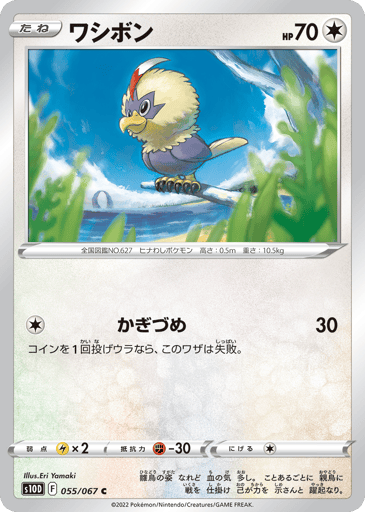 Rufflet - Time Gazer 55