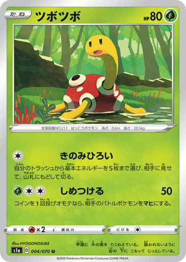 Shuckle - VMAX Rising 4