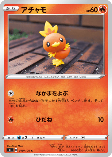 Torchic - Infinity Zone 10