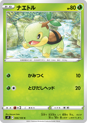 Turtwig - Star Birth 6