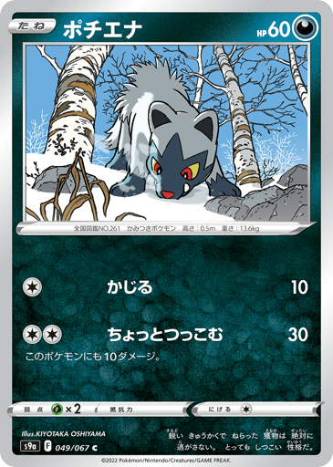 Poochyena - Battle Region 49