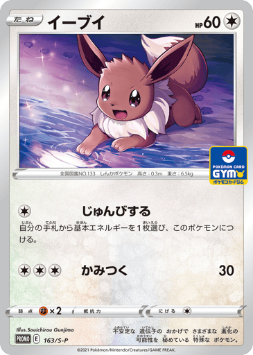 Eevee - Sword & Shield Promos 163