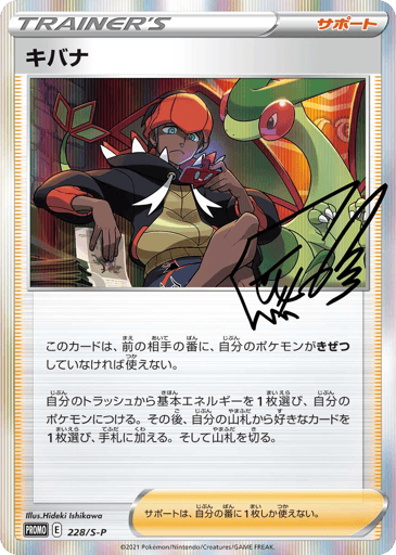 Raihan - Sword & Shield Promos 228