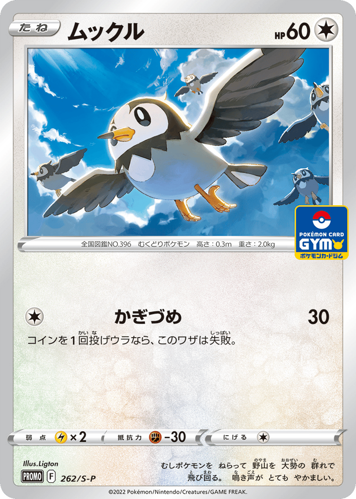Starly – Sword & Shield Promos 262/S-P Pokémon card