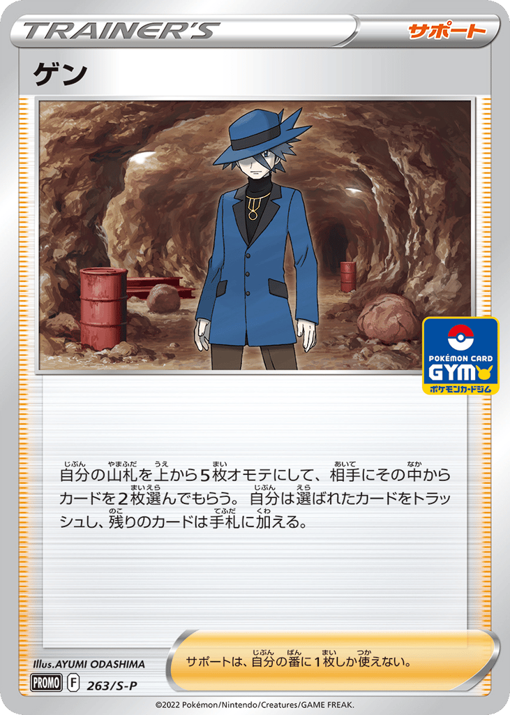 Riley – Sword & Shield Promos 263/S-P Pokémon card