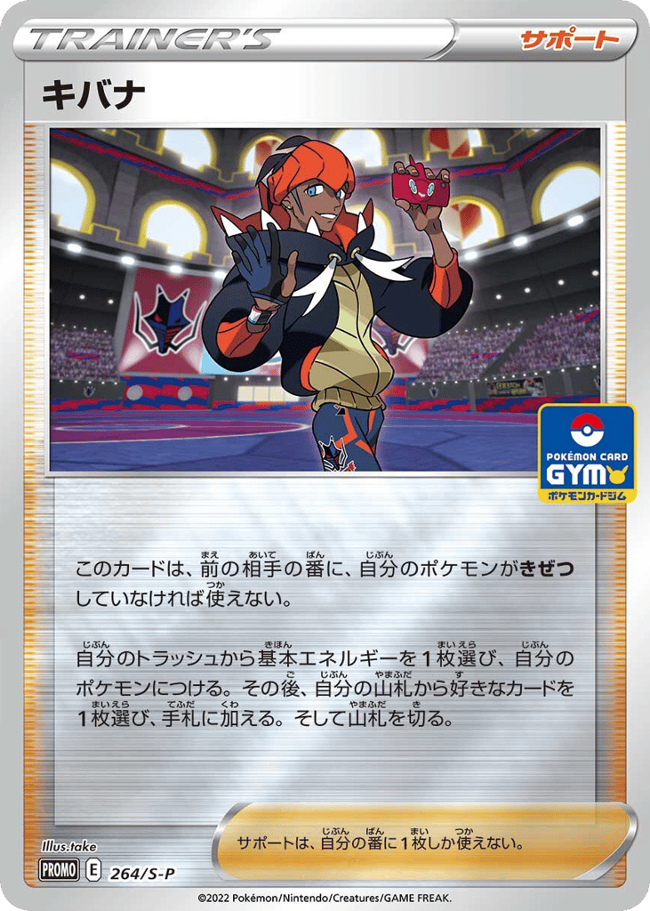 Raihan – Sword & Shield Promos 264/S-P Pokémon card