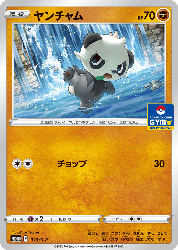 Pancham – Sword & Shield Promos 313/S-P Pokémon card