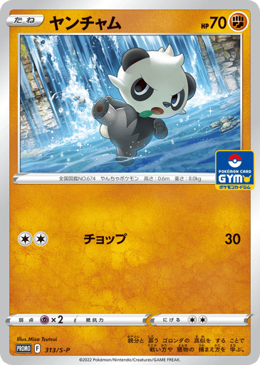 Pancham - Sword & Shield Promos 313