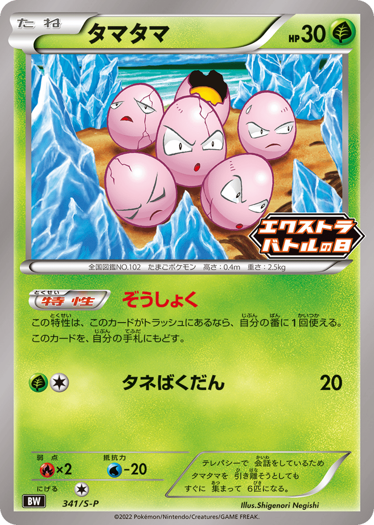 Exeggcute – Sword & Shield Promos 341/S-P Pokémon card