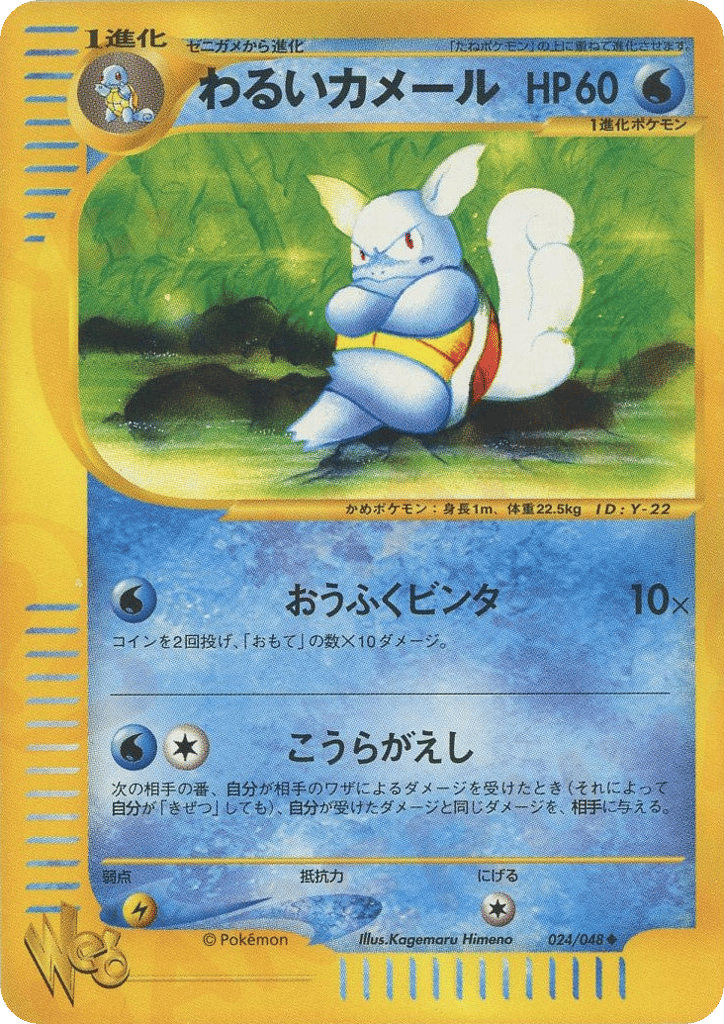 Dark Wartortle – Pokémon Web 024/048 Pokémon card