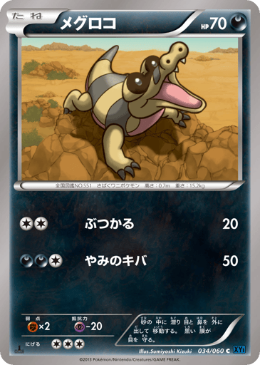 Sandile - Collection X 34