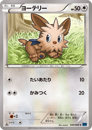 Lillipup - Collection X 49