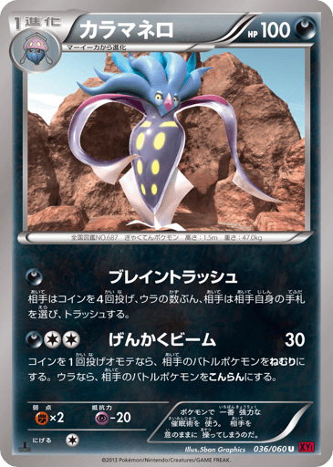 Malamar - Collection Y 36