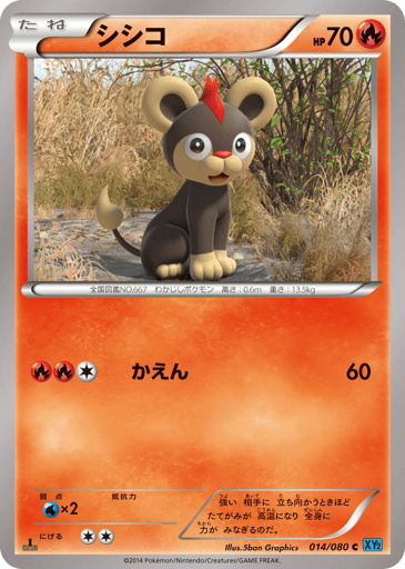 Litleo - Wild Blaze 14