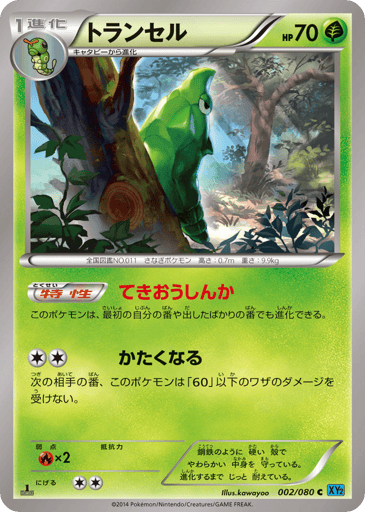 Metapod - Wild Blaze 2