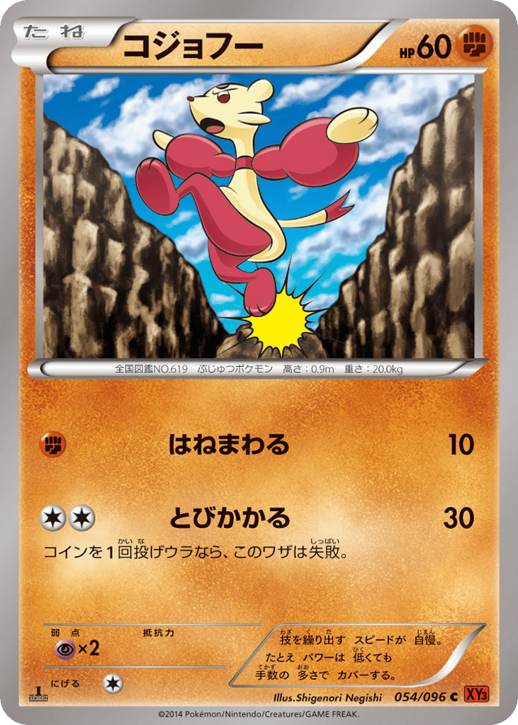 Mienfoo – Rising Fist 054/096 Pokémon card