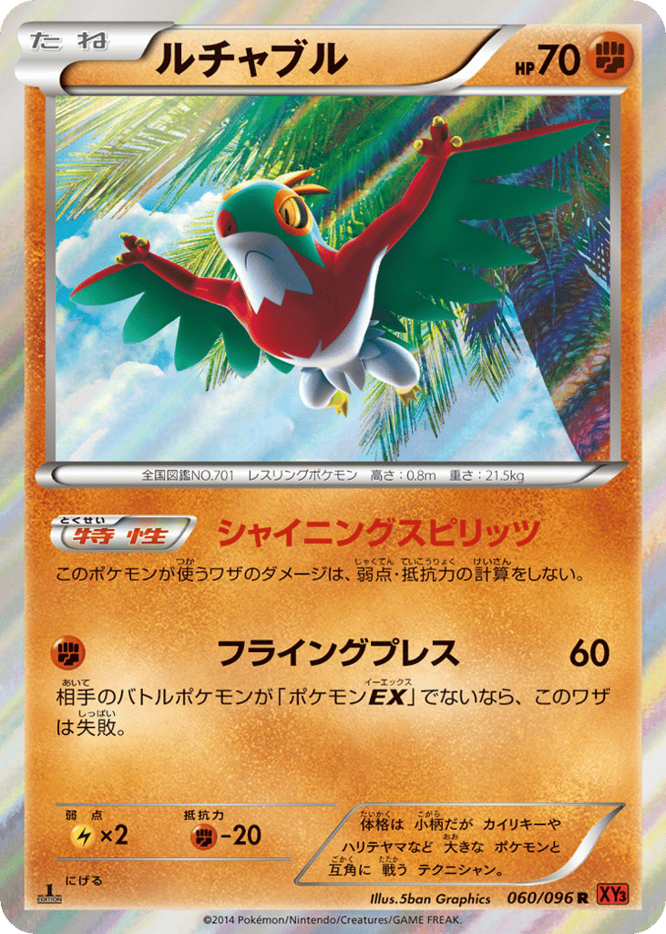 Hawlucha – Rising Fist 060/096 Pokémon card