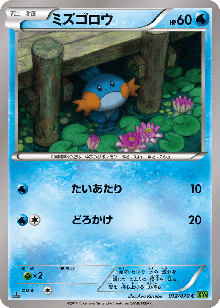 Mudkip – Tidal Storm 012/070 Pokémon card